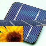Wanted whole sale solar panels